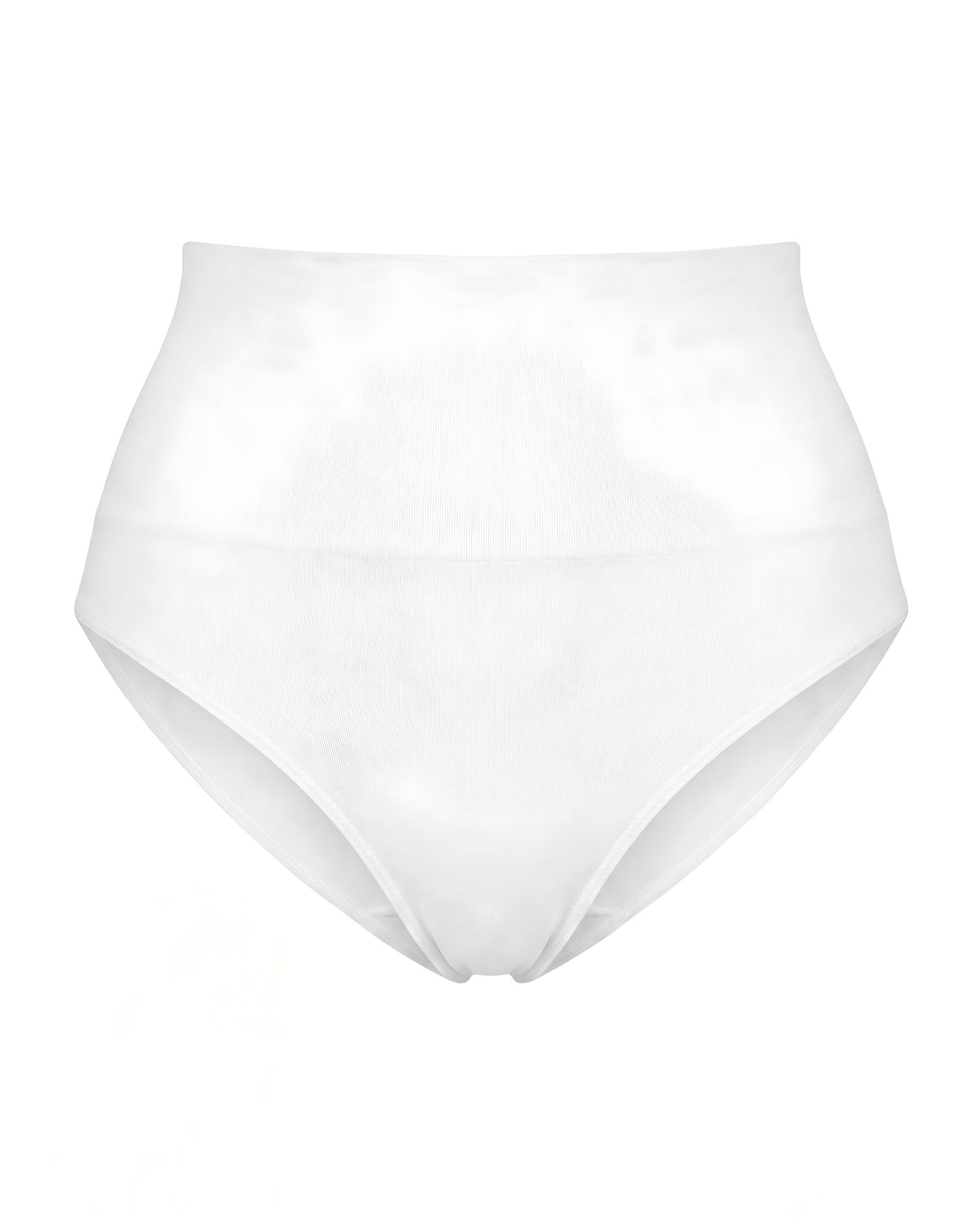 Linsori Pearl Sculpting Control Brief Plus Size - White background view
