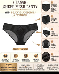 Linsori Sheer Noir Amarantes Brief -  Product detail view