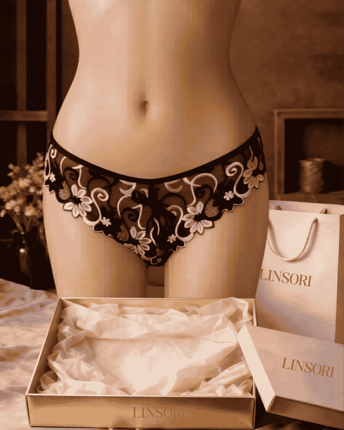 Linsori Florence Noir & amp - Rose Embroidered Brief - Mannequin View