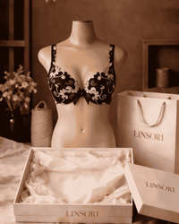 Linsori Florence Noir & Rose Embroidered Brief - Mannequin View 