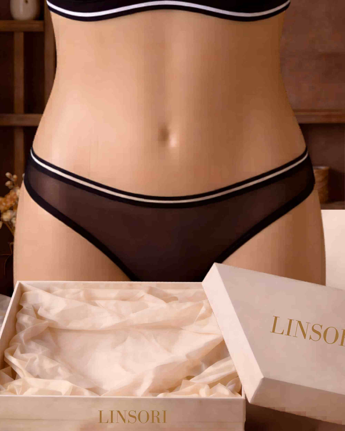 Linsori Noir Sheer Heart Brief - Mannequin View