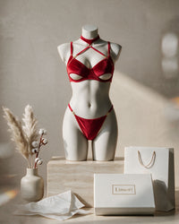 Linsori Scarlet Velvet Halter Bra Set - Mannequin View