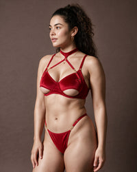 Linsori Scarlet Velvet Halter Bra Set -  Left view