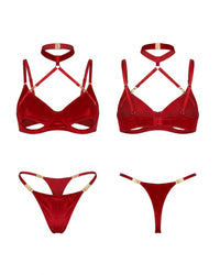 Linsori Scarlet Velvet Halter Bra Set - White background view