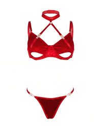 Linsori Scarlet Velvet Halter Bra Set - White background view