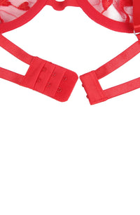 Linsori Crimson Heart Suspender Set - back view
