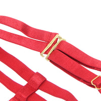 Linsori Scarlet Velvet Halter Bra Set - lifestyle view