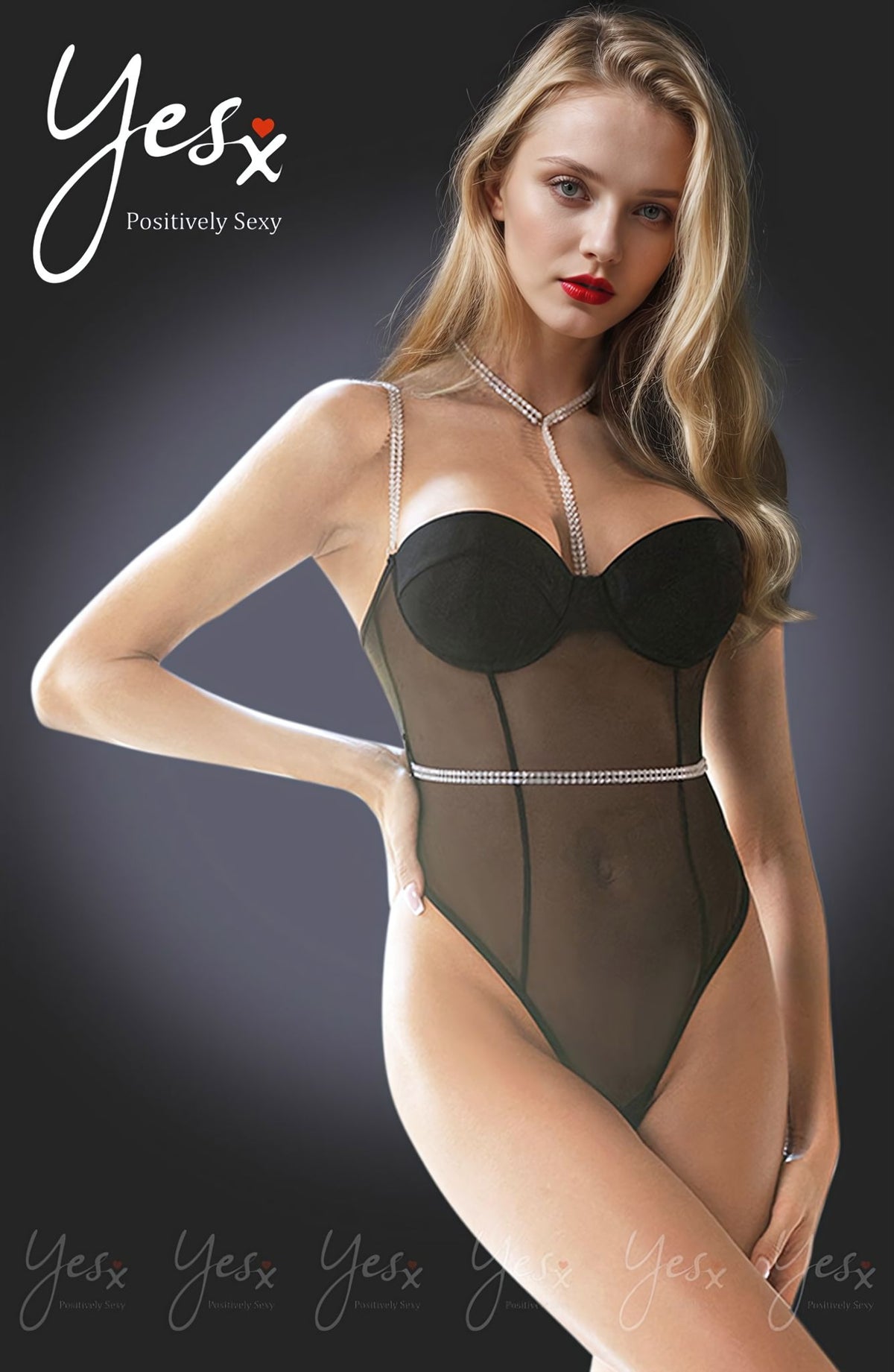 Linsori Diamante Noir Sheer Bodysuit - front view
