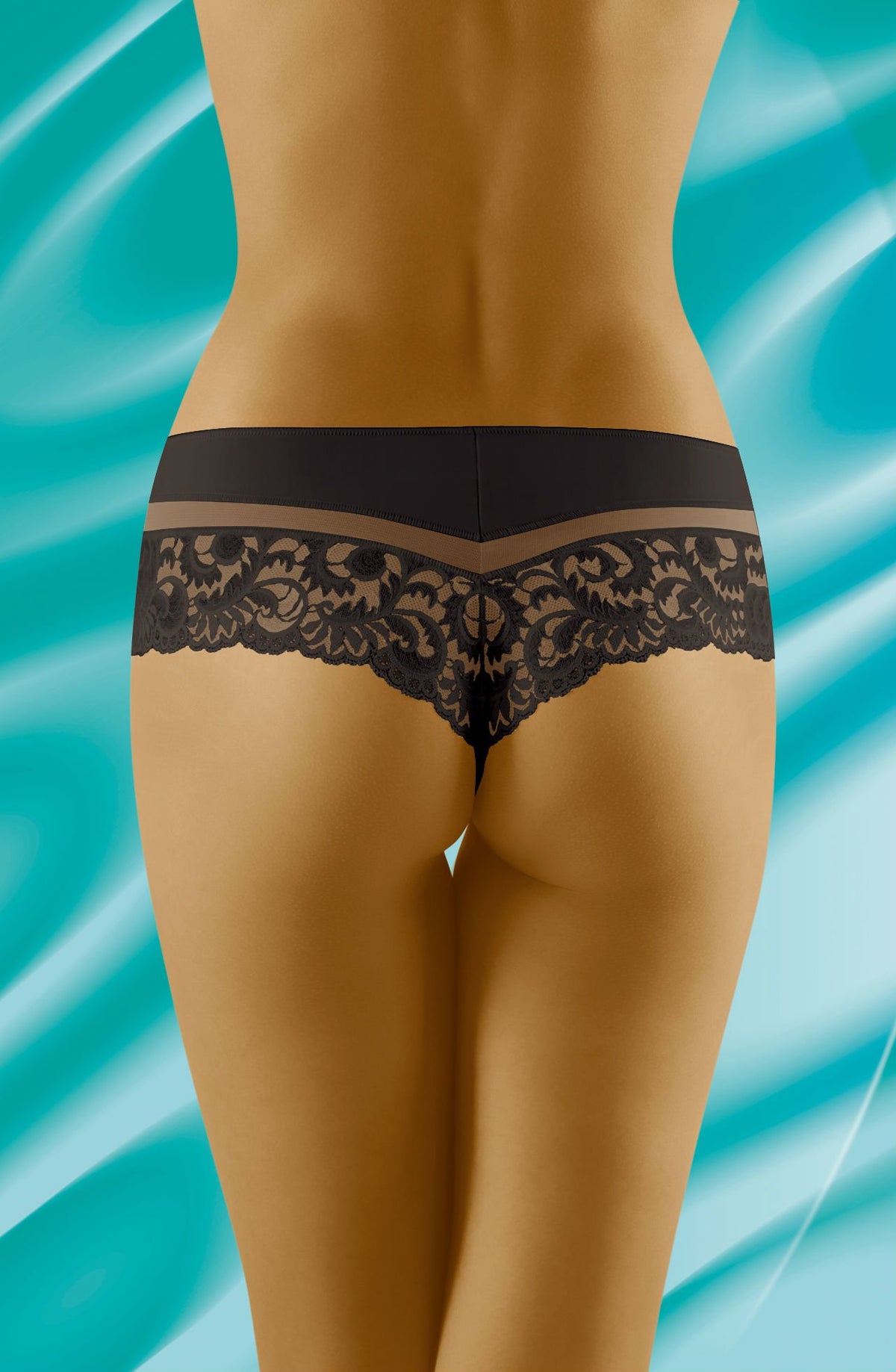 Linsori Midnight Lace Tulle Shorts - back view