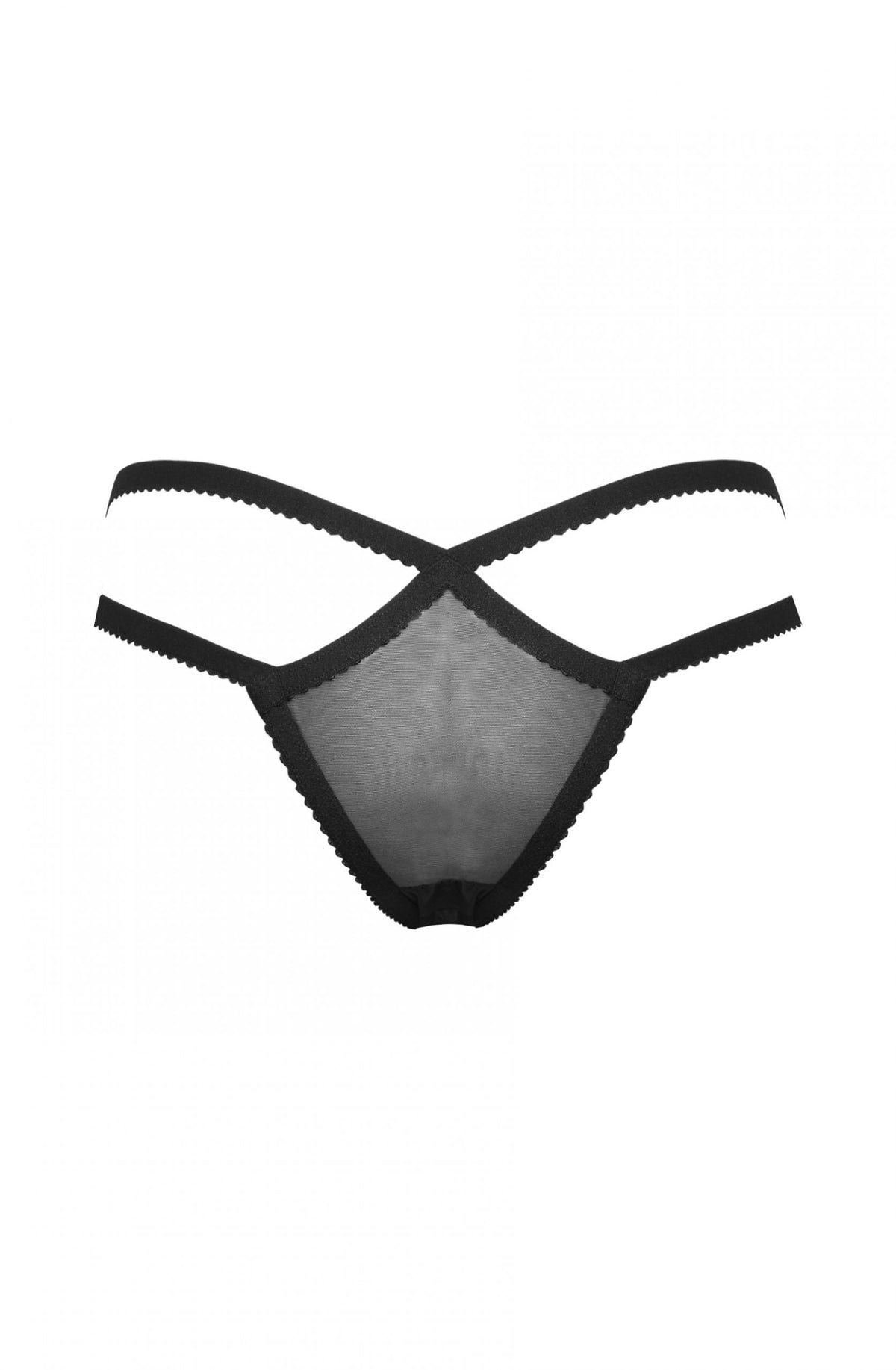 Linsori Noir Mesh Brief - detail view