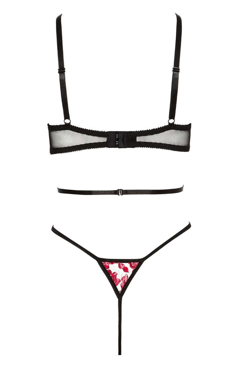 Linsori Scarlet Embroidered Evangelina Teddy - back view