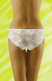Linsori Champagne Floral Lace Brief - back view