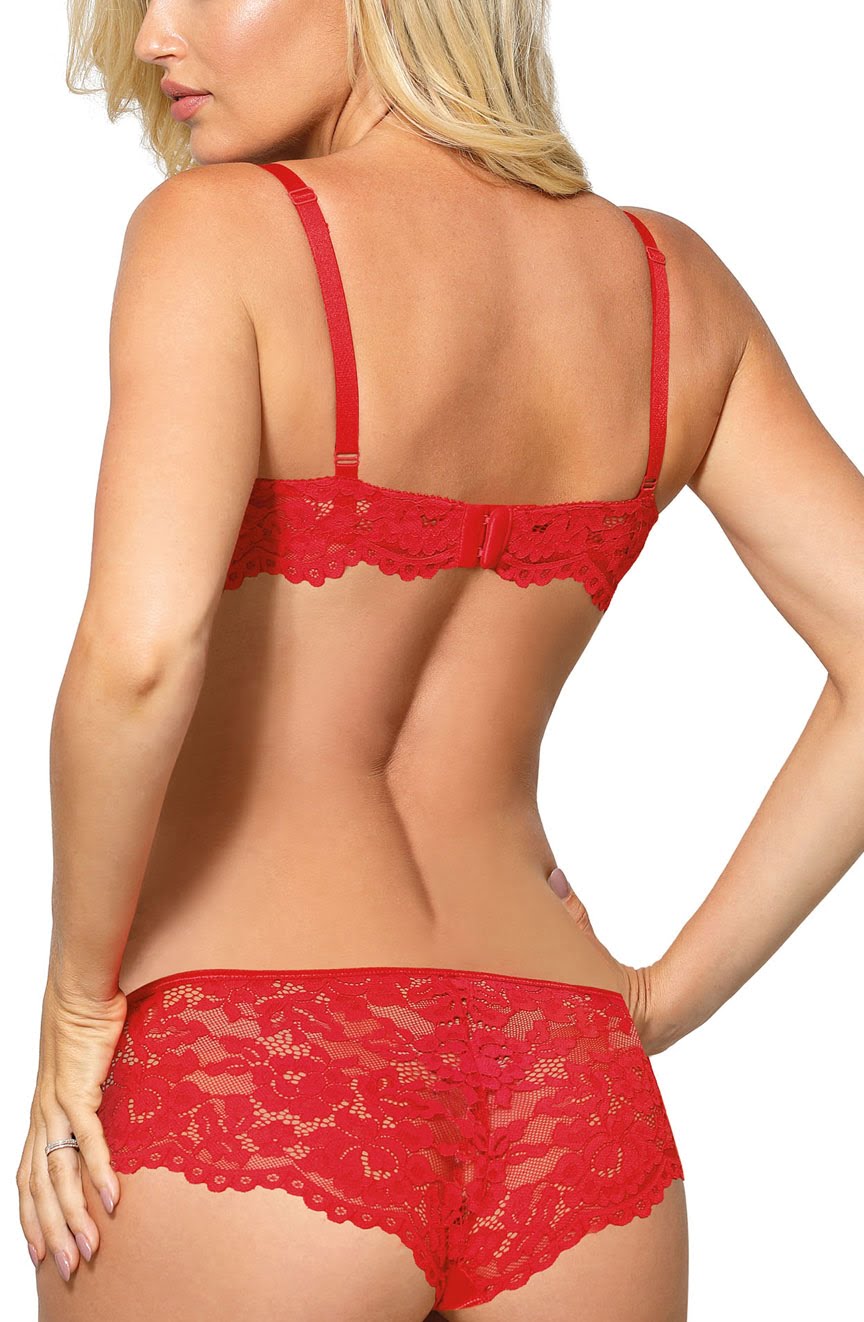 Linsori Scarlet Scalloped Lace Brief - side view