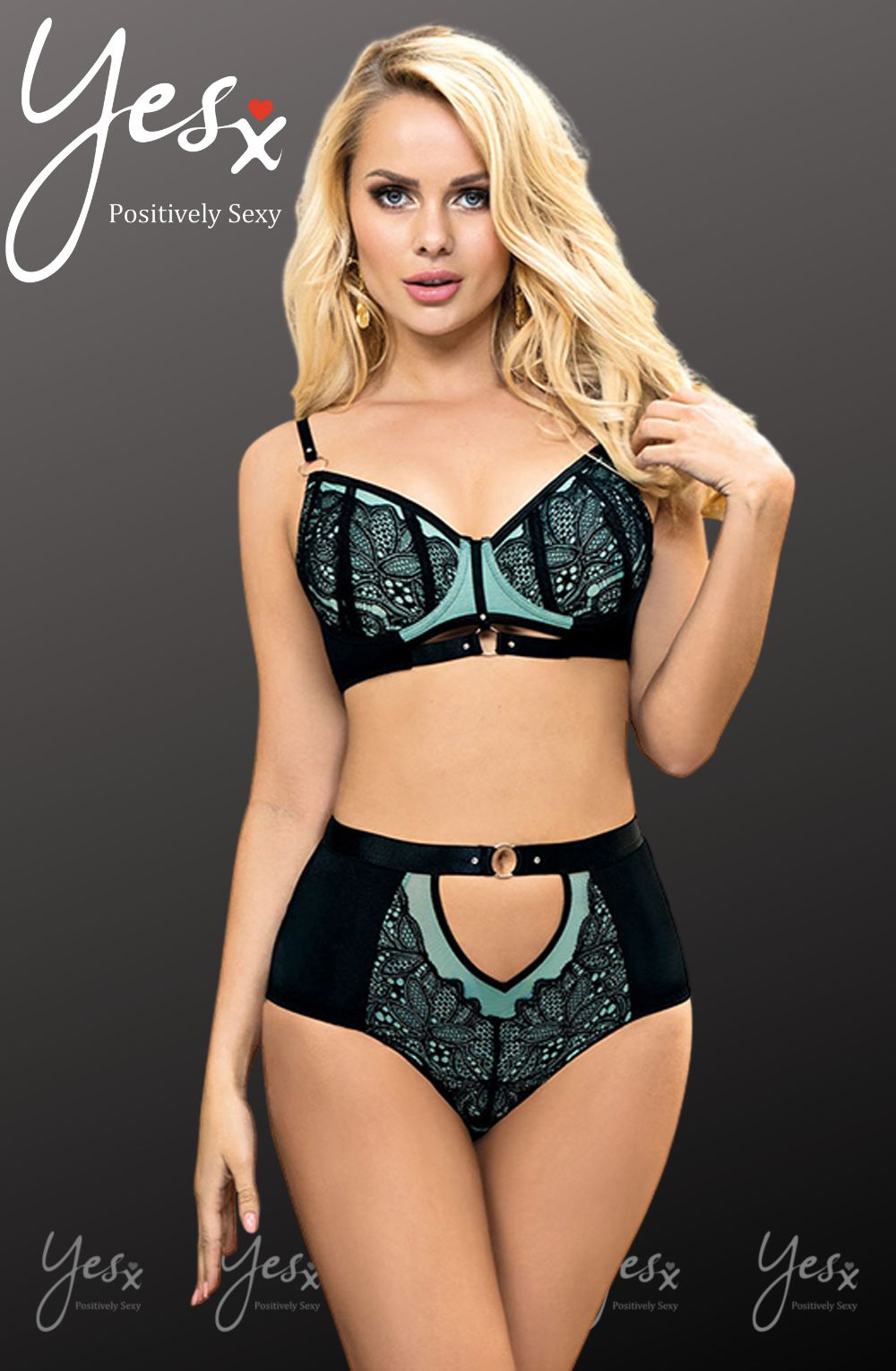 Linsori Sapphire Lace Lingerie Set - back view